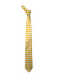 Blacksmith Yellow Gingham Checks Printed Tie for Men - Fashion Accessories for Blazer , Tuxedo or Coat